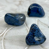 Dumortierite Bird Earrings
